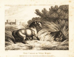 A horse and wild boar face off in a pasture by Samuel Howitt
