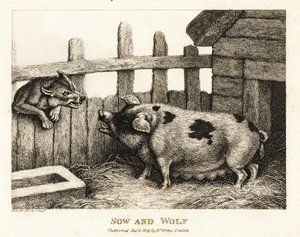 A Large Sow in a Pig Sty Snarling at a Wolf