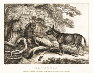 A Monkey and a Donkey Moan Until a Mole Silences Them