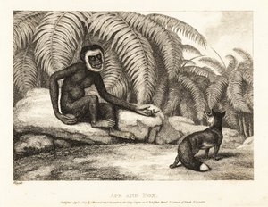 A Tailless Monkey Asks a Fox for Some of His Tail