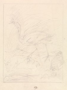 Crane and Frogs