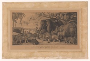 Exotic Animals from the Royal Menagerie at the Strand, London by Samuel Howitt