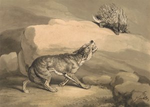 Fox and the Hedgehog (Porcupine) by Samuel Howitt