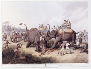 The Dead Tiger; Mort du tigre, 1807