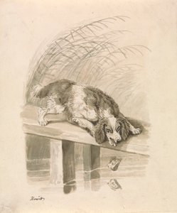 The Dog and The Shadow by Samuel Howitt