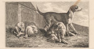 Three Dogs by Samuel Howitt