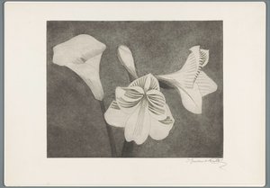 Amaryllis and Calla Lily by Samuel Jessurun de Mesquita (signed by artist)