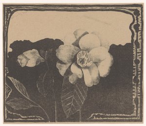 Camellia, Flower Bud on the Left