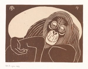 Orangutan