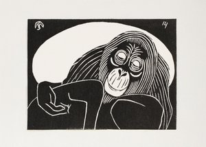 Orangutan