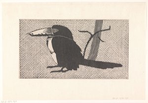 Toucan by Samuel Jessurun de Mesquita