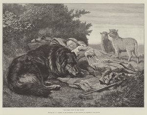 His First Visit to the Flock, in the Exhibition of the Institute of Painters in Oil-Colours
