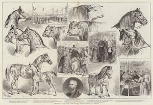 Sketches at the Royal Agricultural Society