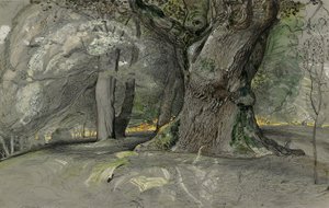 Oak Tree and Beech, Lullingstone Park by Samuel Palmer