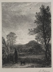 The Skylark