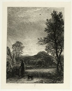 The Skylark