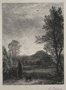 The Skylark