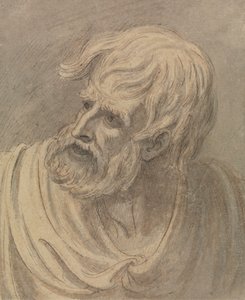 Head of a Man with a Beard Looking to the Left by Samuel de Wilde