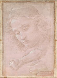 Head of a Youth Wearing a Cap; a Right Forearm with the Hand Clutching a Stone; and a Left Hand Holding a Drapery