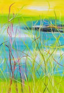  by Sandy Iseli