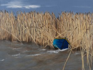  by Sandy Iseli