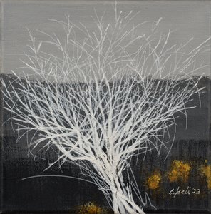  by Sandy Iseli
