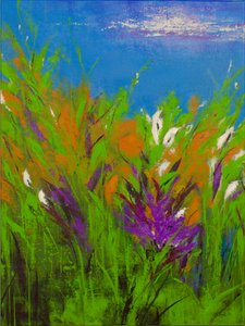 Summer Magic by Sandy Iseli