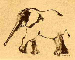 Abstract Elephant Sketch
