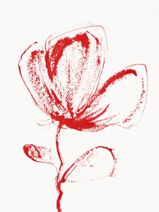 Abstract Red Bloom by Santhosh ch
