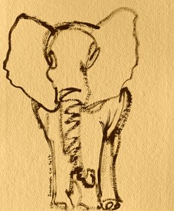 Baby Elephant Sketch