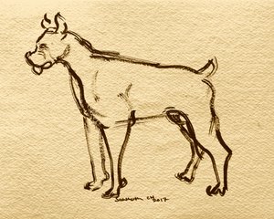 Boxer Dog Sketch by Santhosh ch