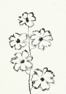 Charcoal Flower Sketch