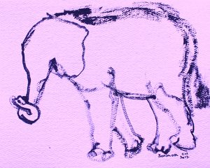 Curious Elephant Drawing