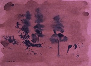 Dark Forest Landscape