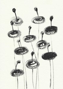Delicate Charcoal Blooms