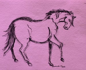Dynamic Horse Outline by Santhosh ch