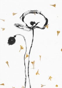 Elegant Black Poppies