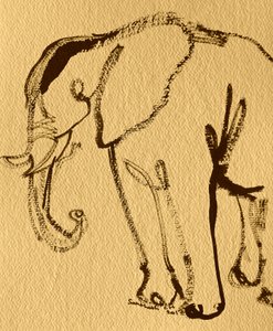 Elegant Elephant Drawing