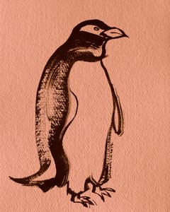 Elegant Ink Penguin by Santhosh ch