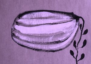 Elegant Striped Pod