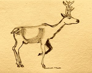 Elegant Woodland Stag by Santhosh ch