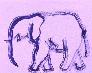 Elephant 36 by Santhosh ch