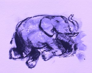 Elephant 42 by Santhosh ch