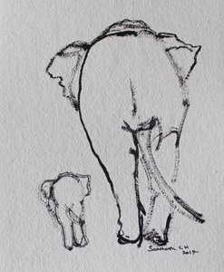 Elephant Family Walk by Santhosh ch
