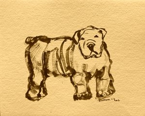 Expressive Bulldog Sketch by Santhosh ch
