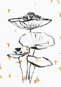 Falling Golden Lotus