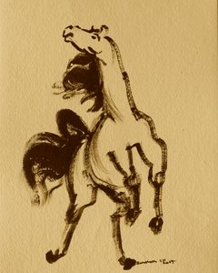 Horse 24 by Santhosh ch