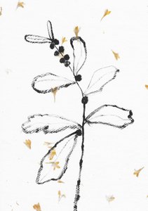 Minimalist Botanical Sketch