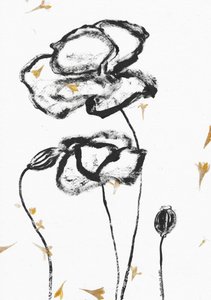 Minimalist Charcoal Poppies