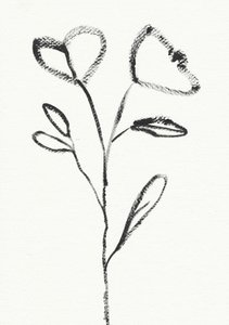 Minimalist Flower Sketch